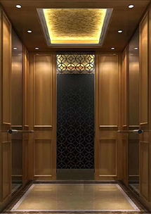 一站式簡(jiǎn)易電梯生產(chǎn)廠家服務(wù)商 為家用電梯制造注入便捷與安心